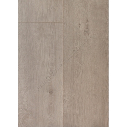 Ламінат Oak Bergamo Silver Grey TRITTY 100 Campus HARO