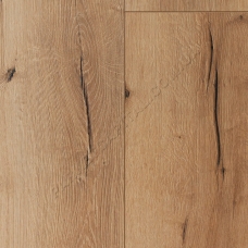 Ламінат Oak Italica Creme TRITTY 100 Campus HARO