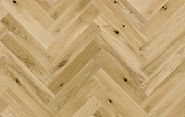 Бесшовная текстура Елка Дуб Grand Canyon