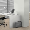 Ламінат Дуб Бруклін білий 8/32 EGGER PRO